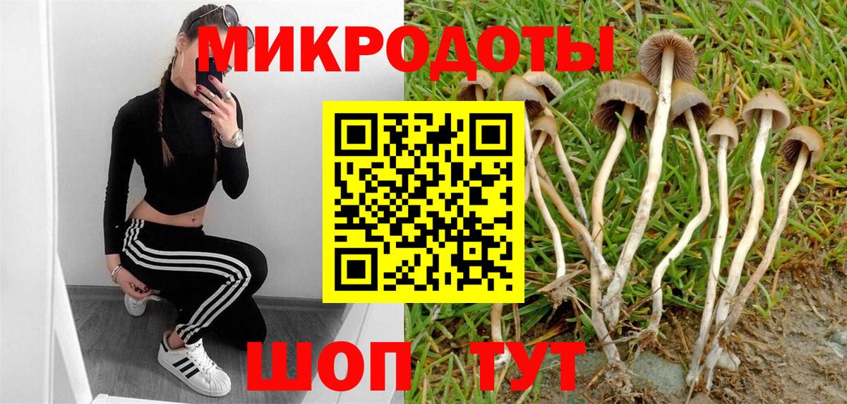 Великий Устюг  Галлюциногенные грибы ЛСД  Вход с VPN 