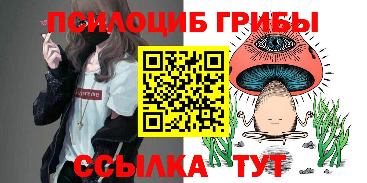 Псилоцибиновые грибы мухоморы Великий Устюг